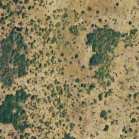 Aerial tile for CD33