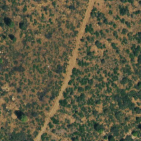 Aerial tile for CD36