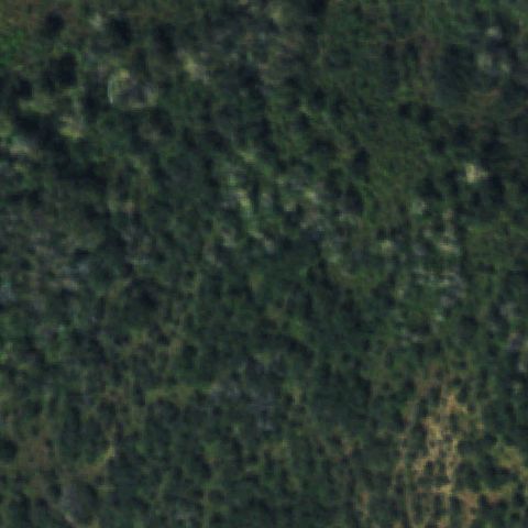Aerial tile for CD50