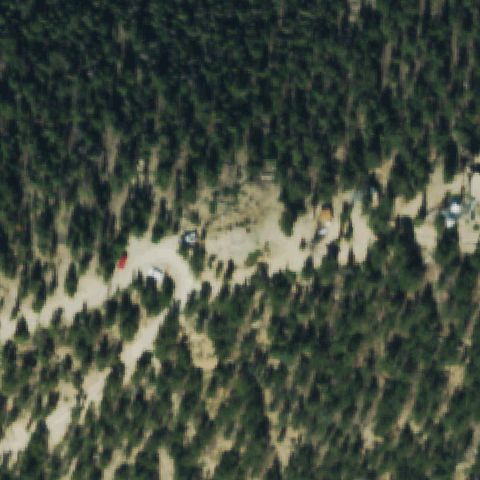 Aerial tile for CD52