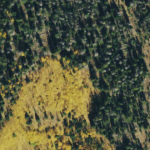 Aerial tile for CD57