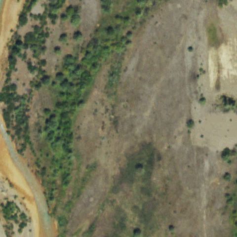 Aerial tile for CD68