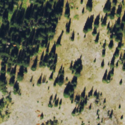 Aerial tile for CD70