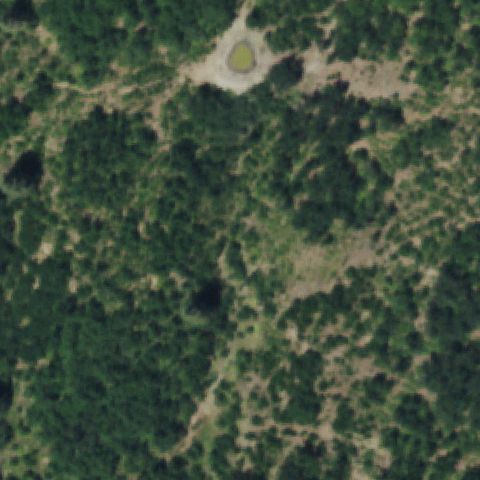 Aerial tile for CD72