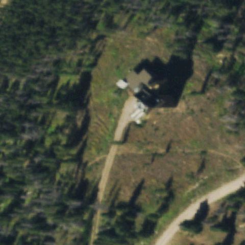 Aerial tile for CD74