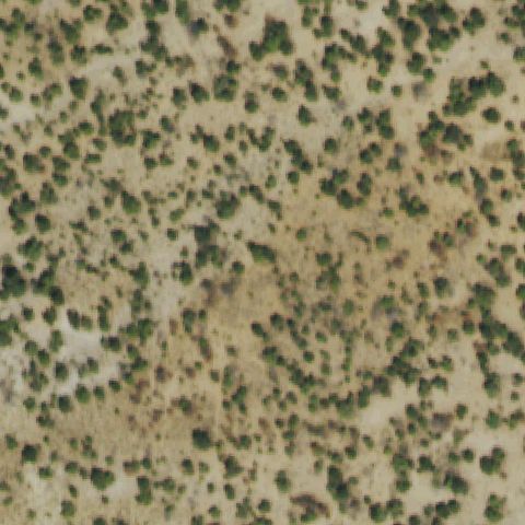 Aerial tile for CD75